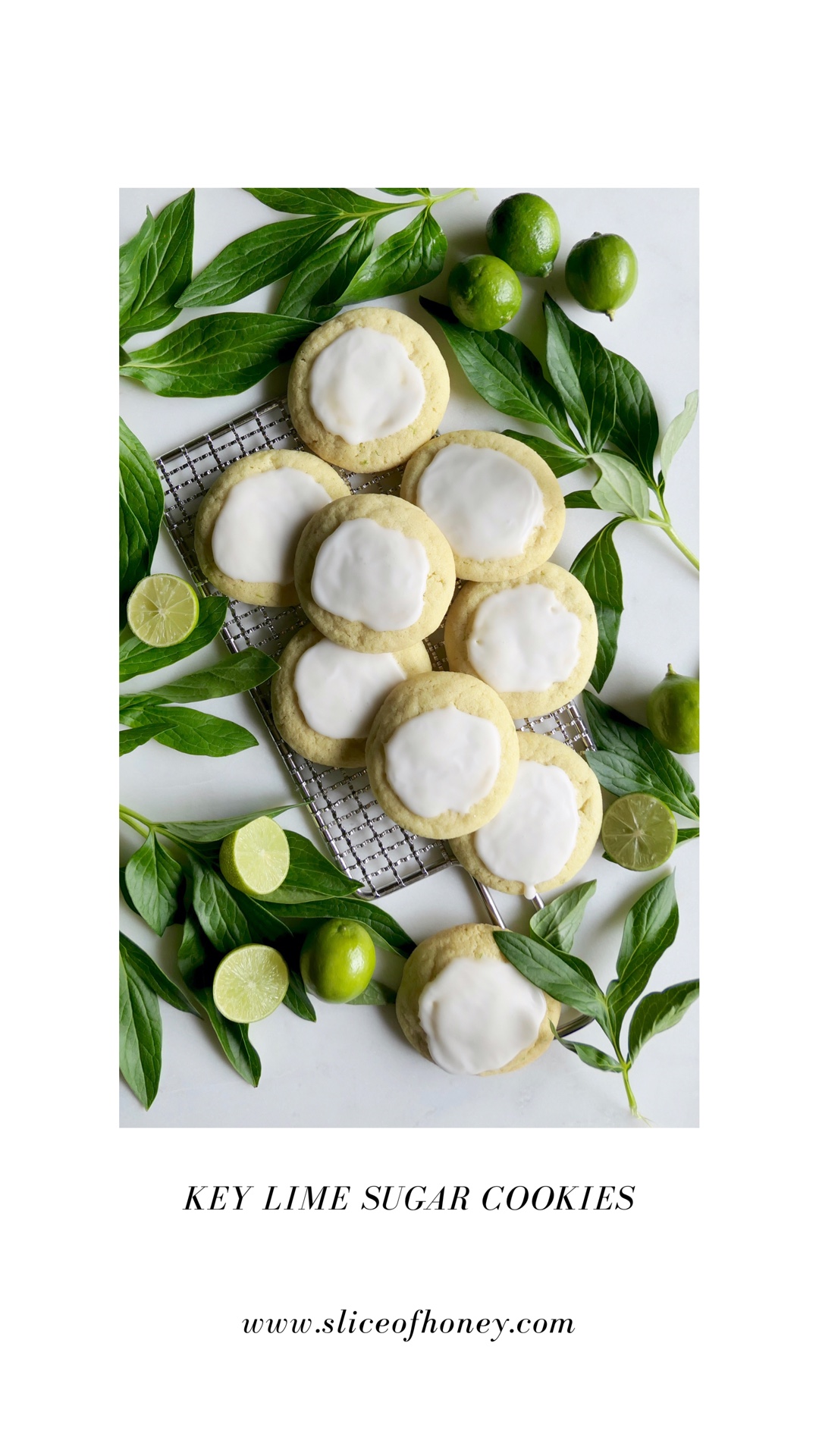 KEY LIME SUGAR COOKIES - Slice Of Honey